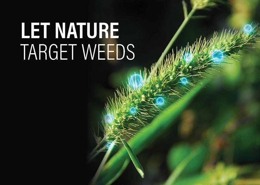 Let Nature Target Weeds with Bioherbicides Ag